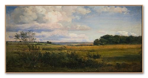 Large Vintage Landscape Wall Art, Framed Farmhouse Decor, 20x40 Inch - color: Field Meadow