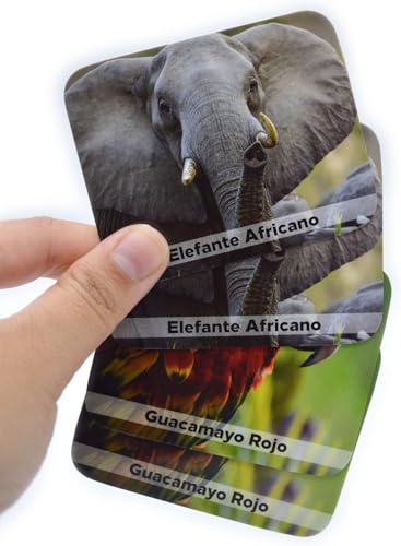 Menique Wild Animals Memory Matching Game – Spanish Edition – 80 Cards (40 Pairs) with Real Photos – Educational Game in Spanish for Kids and Adults – Includes Booklet - style: (ES) Animales Salvajes