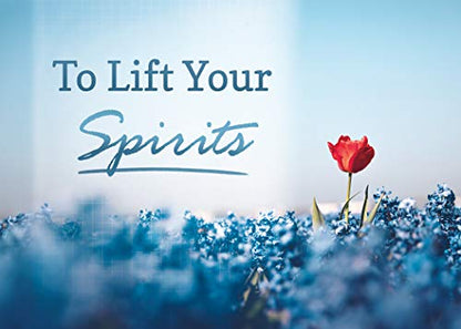 Lift Your Spirits - NIV Scripture Greeting Cards - Get Well - (Box of 12)