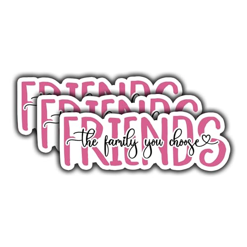 (3 pcs) Friends The Family You Choose Sticker for Tumbler Motivational Funny Sarcastic Phrase Inspirational Quote Vinyl Decal for Kindle Laptop Water Bottle Phone Hard Hat - 3x1.1