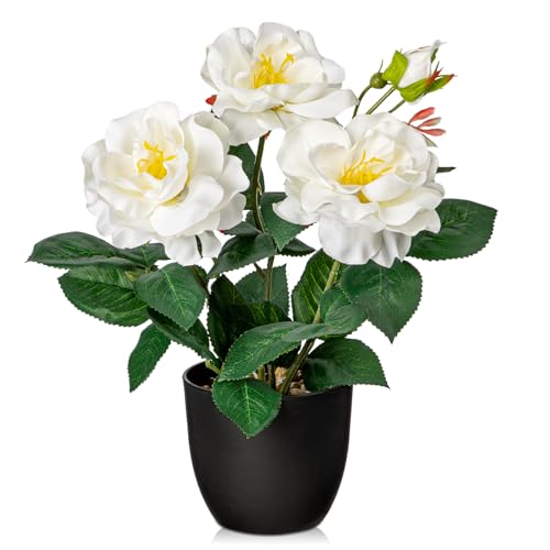 Hollyone Artificial Plants & Flowers with Vase White Roses Artificial Flowers Small Potted Plant Faux Silk Flower with Black Pot Fake Rose Flower Arrangement Office Shelf Desk Home Decor 11 Inch - color: Rose 2 - White (11inch)