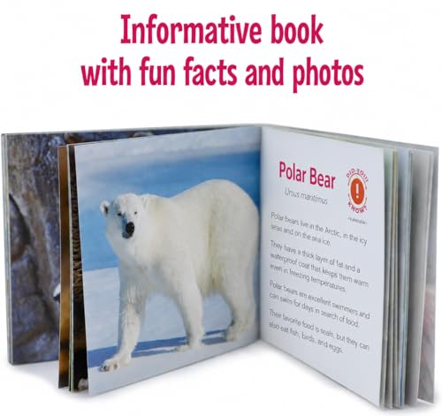 Menique Wild Animals Memory Matching Game – Spanish Edition – 80 Cards (40 Pairs) with Real Photos – Educational Game in Spanish for Kids and Adults – Includes Booklet - style: (ES) Animales Salvajes