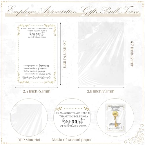 Appreciation Gifts Bulk Key Shape Lapel Pins, 60 Sets, Difference - style: Difference