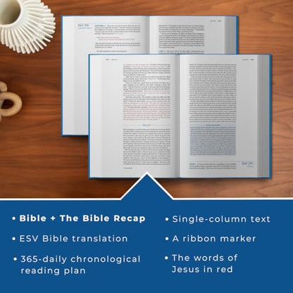 The Bible Recap 365-Day Chronological Study Bible: English Standard Version― ESV (One Year Reading Plan)