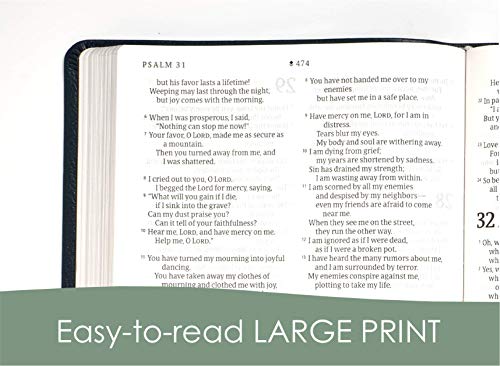 NLT Large Print Thinline Reference Holy Bible (Red Letter, Genuine Leather, Black, Indexed): Includes Free Access to the Filament Bible App Delivering ... Notes, Devotionals, Worship Music, and Video