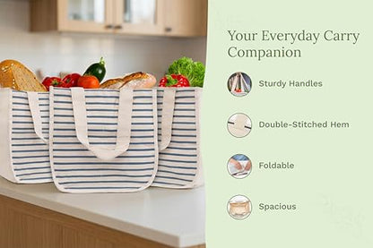 Best Canvas Grocery Shopping Bags - Cloth Grocery Tote Bags - Reusable Cotton Grocery Tote Bags with Bottle Sleeves - color: Blue Stripes