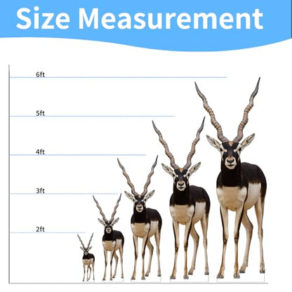 Antelope 2FT Life Size Cardboard Cutout, 1 PC - color: Antelope, size: 2FT