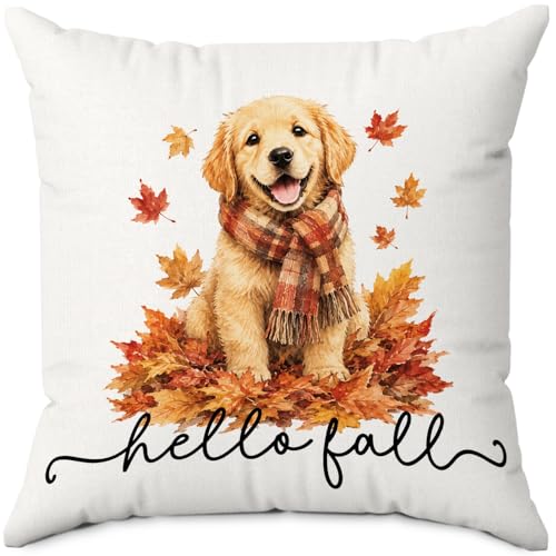 Hello Fall Leaf Golden Retriever Dog Throw Pillow Covers 18x18 - color: Dog