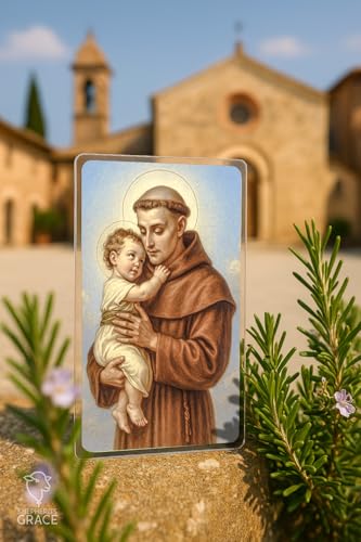 St. Anthony Catholic Prayer Cards, Laminated 5-Pack