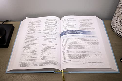 NIV, Student Bible, Personal Size, Hardcover, Comfort Print