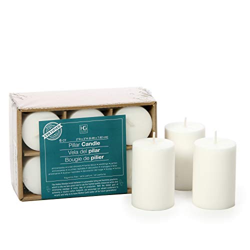 Hosley 2x3 High Pillar Candles, Set of 6. White, Unscented. Bulk Buy. Ideal for Wedding, Emergency Lanterns, Spa, Aromatherapy, Party, Reiki, Candle Gardens O4 - size: 2"D x 3"H-6 count