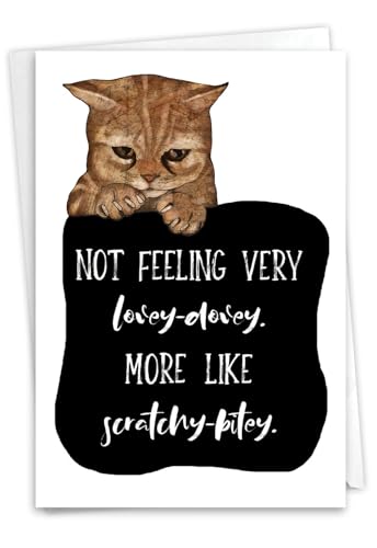 NobleWorks, Get Well Greeting Card with 5 x 7 Inch Envelope (1 Card) Cat Antics - Scratchy Bitey C3638FGWG - style: Cat Antics - Scratchy Bitey