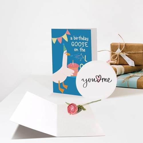 Chenive Funny Silly Goose Birthday Card for Men Women, Cute Birthday Card for Friends Family Kids and Goose Lover, Hilarious Bday Gifts for Daughter Son Sister Brother - color: Silly Goose Birthday