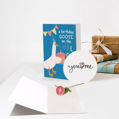 Chenive Funny Silly Goose Birthday Card for Men Women, Cute Birthday Card for Friends Family Kids and Goose Lover, Hilarious Bday Gifts for Daughter Son Sister Brother - color: Silly Goose Birthday