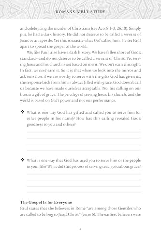 Romans Bible Study: Living Our Faith with Grace and Truth (NIV Application Commentary Resources)