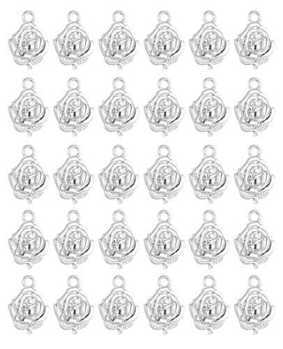 COTTVOTT Saint Therese of Lisieux/Saint Mother Teresa of Calcutta/Divine Mercy Jesus/Mater Dolorosa Patron Saint Medal Charm Pendant for DIY Rosary Necklace Bracelet Jewelry Making Part - color: 30pcs-Rose&Lourdes