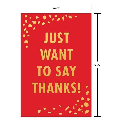 American Greetings 17-Count Thank You Card Pack, Colorful Mixed Designs
