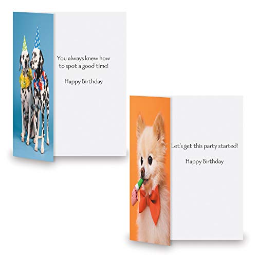 Current Happy Birthday Greeting Card Set - style: Animal