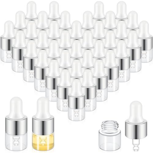 Didaey 100 Pcs Mini Glass Oil Dropper Bottle, 1 ml, Classic Silver - color: Classic Silver, size: 1 ml