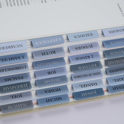 UPAFEXXI-Laminated Bible Tabs with Book Summaries, Bible Study Supplies - color: Summaries Blue2