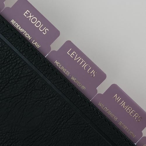 UPAFEXXI-Bible Tabs with Book Summaries, 3D Gold Foil Embossed Lettering - color: Purple