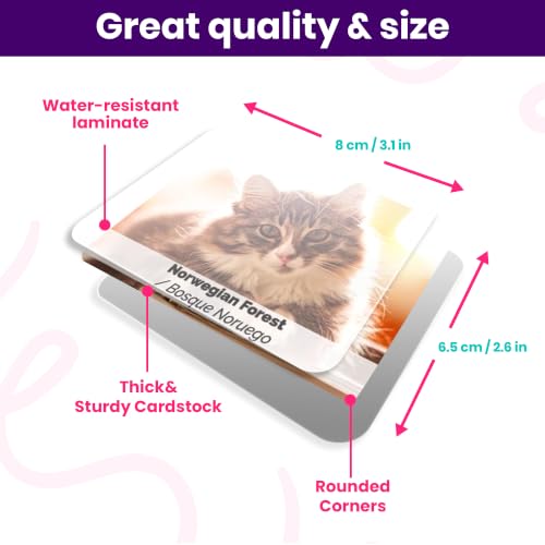 Menique Cat Memory Game – 70 Cards with Real Photos of 35 Cat Breeds – Bilingual Matching Card Game with Fact Booklet – Great Boo Basket Stuffer & Halloween Favor - style: Cats