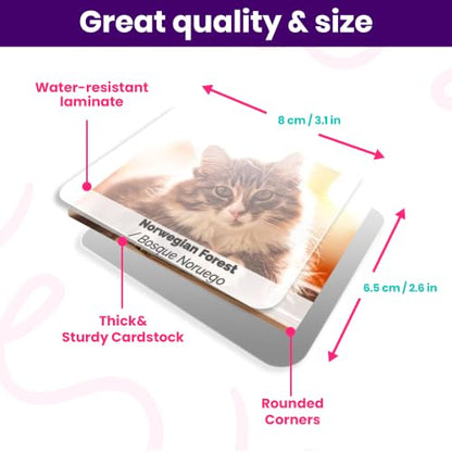 Menique Cat Memory Game – 70 Cards with Real Photos of 35 Cat Breeds – Bilingual Matching Card Game with Fact Booklet – Great Boo Basket Stuffer & Halloween Favor - style: Cats