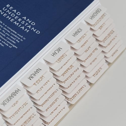 UPAFEXXI-Bible Tabs with Book Summaries, 3D Gold Foil Embossed Lettering - color: Summaries Cream