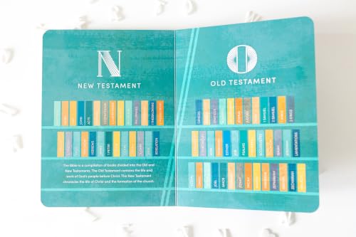 We Believe: Christian Alphabet Board Book Teaching Foundational Christian Theology from A–Z (Baby Believer)
