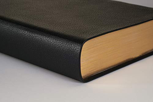 NLT Personal Size Giant Print Bible, Filament Enabled (Genuine Leather, Black, Indexed, Red Letter): Includes Free Access to the Filament Bible App ... Notes, Devotionals, Worship Music, and Video