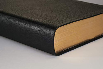 NLT Personal Size Giant Print Bible, Filament Enabled (Genuine Leather, Black, Indexed, Red Letter): Includes Free Access to the Filament Bible App ... Notes, Devotionals, Worship Music, and Video
