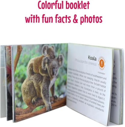 Menique Wild Animals Memory Matching Game – 80 Cards (40 Pairs) with Real Photos – Includes Educational Booklet with Animal Facts – Fun & Cognitive Game for Kids and Adults - style: Wild Animals