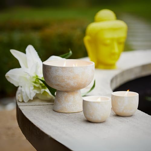 Blueme Wellness Refillable Candle, Spiritual - Palo Santo & Vetiver - 45 oz