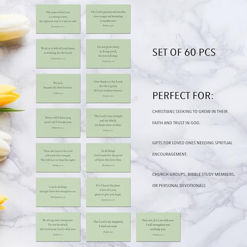 Bible Verse Cards, 60 Scripture Cards with Bible Verses - color: Sage Green