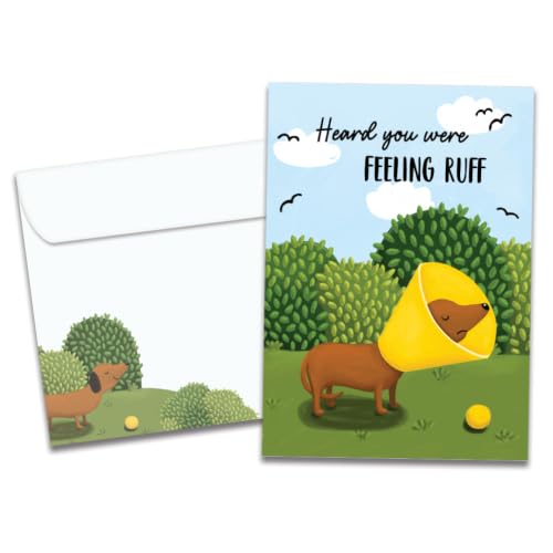 Tree-Free Greetings - Funny Dog Get Well Card - Feeling Ruff - color: Feeling Ruff