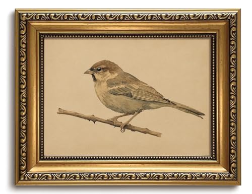 Vintage Bird Wall Art Gold Framed Sparrow on Branch Animal Wall Decor - color: Sparrow, size: 10"L x 8"W
