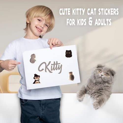 LINAYE 24 Sheets Cute Cat Stickers for Kids Teen Adults, 840 Counts Waterproof Adhesive Kawaii Kitten Stickers for Party Favors, Scrapbooking, Water Bottles, Laptop, Phone, Skateboard, Bicycle - style: Cats 24 Sheets