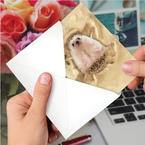 NobleWorks Funny Get Well Greeting Card with 5 x 7 Inch Envelope (1 Card) Sand Angels - Hedgehog C6844CGWG - style: Sand Angels - Hedgehog