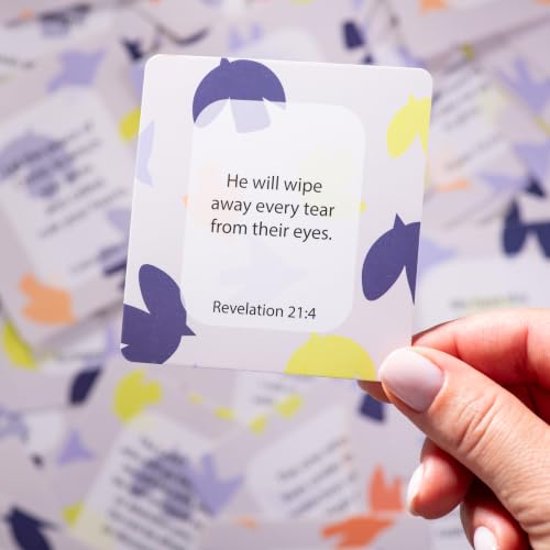 DIVERSEBEE Bible Verse Cards, 60 Unique Prayer Cards (Promises Theme) - color: Promises