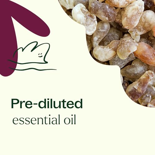 Plant Therapy Frankincense Carterii Essential Oil Pre-Diluted Roll-On - style: Convenient