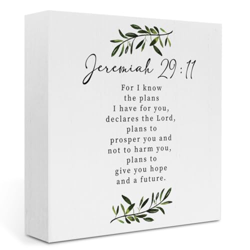 Christian Home Decor: Jesus Sign - Jeremiah 29:11 Motivational Bible Verse Wooden Box Plaque for Home Office - color: Jeremiah 29:11