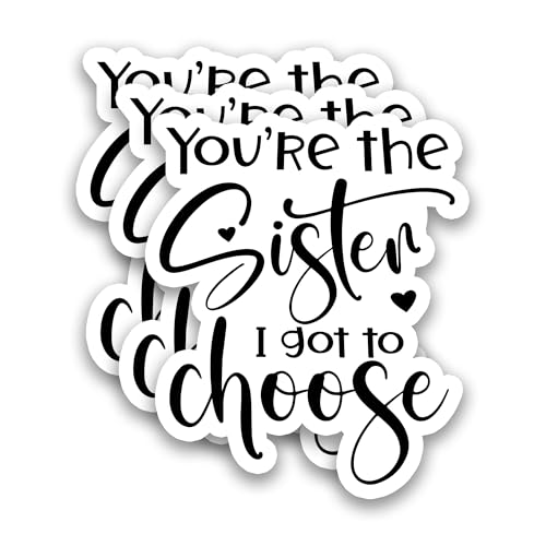 (3Pcs) You’re The Sister I Got to Choose Sticker – Best Friend Quote Stickers for Sisters Besties Friendship Soul Sister in Law, Waterproof Vinyl Decals for Laptop Water Bottle Scrapbook, 3" x 2.5" - color: You're the Sister I Got to Choose