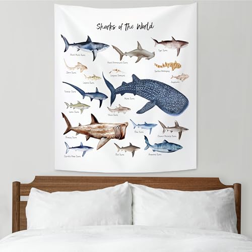 KAIOUS Shark Wall Hanging Tapestry for Kids, 28x38 - color: Shark, size: 38"L x 28"W
