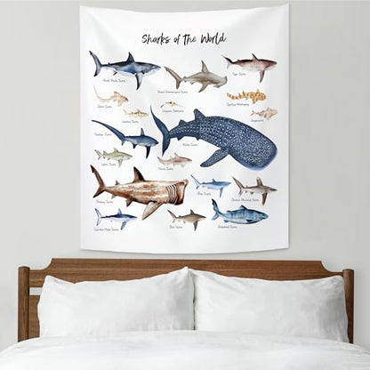 KAIOUS Shark Wall Hanging Tapestry for Kids, 28x38 - color: Shark, size: 38"L x 28"W