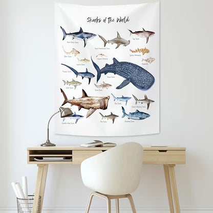 KAIOUS Shark Wall Hanging Tapestry for Kids, 28x38 - color: Shark, size: 38"L x 28"W