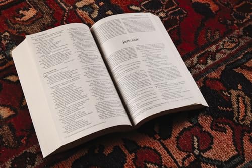 NIV, Bread of Life Outreach Bible, Paperback