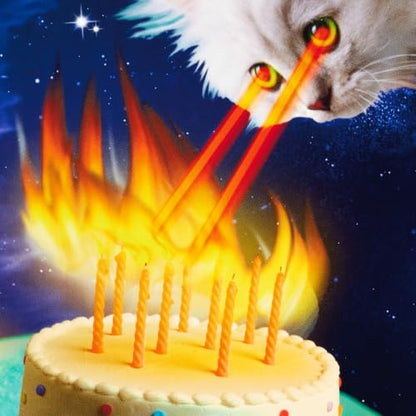 Hallmark Birthday Cards, Assorted 36-Pack (Cats, Lasers, Llamas, Donuts) - style: Cats, Lasers, Llamas, Donuts