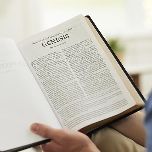 RSV2CE, Thinline Large Print Catholic Bible, Brown Leathersoft, Comfort Print