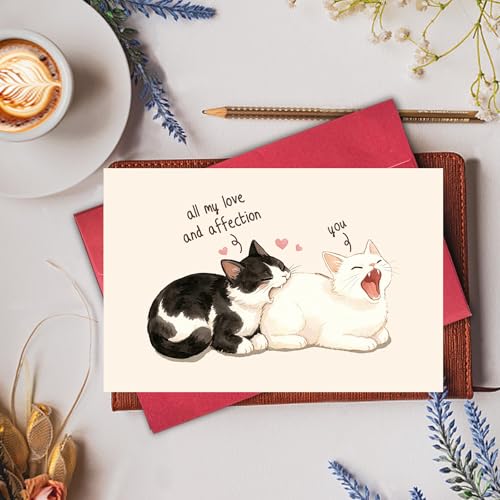 Funny Cat Love Anniversary Card, Hilarious Romantic Cat Card for Husband Wife Boyfriend Girlfriend, Cute Cat Valentine's Day Card for Cat Lovers - color: All My Love And Affection are for You