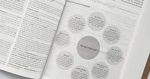 ESV Global Study Bible